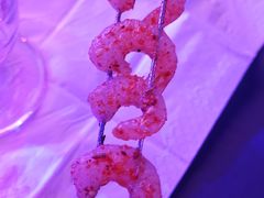 -M-MIX电音烤吧
