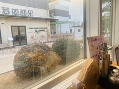 -一轩饺子馆(丽都店)