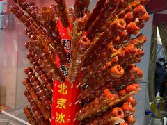 -和禄德冰糖葫芦