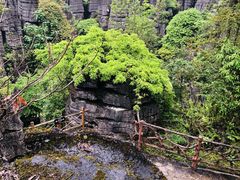 -梭布垭石林景区