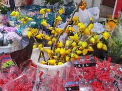 -循礼门鲜花花市(武汉循礼门店)