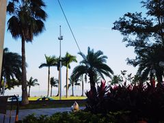 -海湾壹品·粤菜·早茶·烤鸭(拱北店)