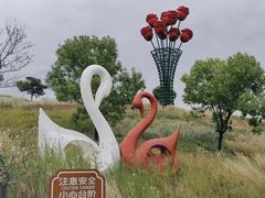 景点-密云玫瑰情园