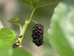 -丝绸小镇荻港古村