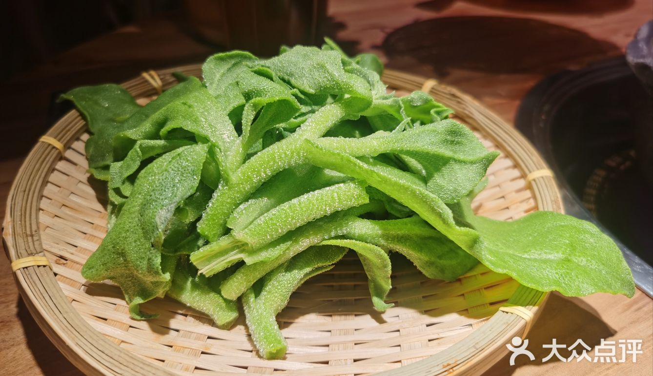 春天，这些野菜你认识么？