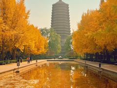 -玲珑塔公园