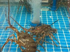 -尖沙咀大酒楼(罗村店·粤菜海鲜·宴会聚餐)