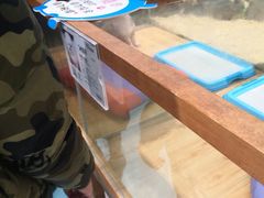 -龟与熊猫宠物公园(南坪店)