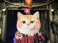 -夜幕浸入式超级密室(望京店)