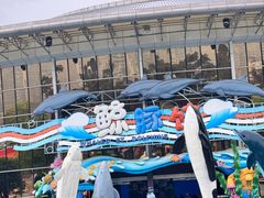 -海合安成都极地海洋公园