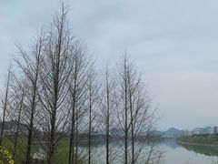 -黎阳老街
