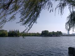 -济南大明湖景区