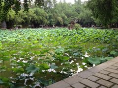 iphone_upload_pic-四川大学(华西校区)