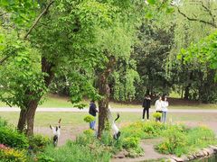 -上海共青森林公园