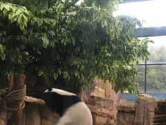 -泉州海丝野生动物世界