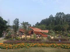 -黄龙溪欢乐田园