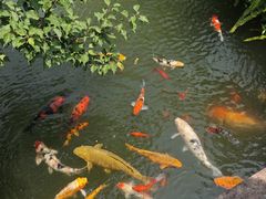 -上海虹桥宾馆味翠餐厅