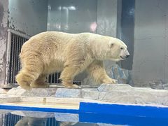 -大连圣亚海洋世界