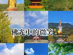 -中原大佛景区