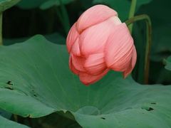 -梁鸿国家湿地公园