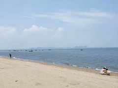 -巨鹏飞梦幻海岸