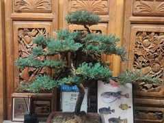 -兰庭玉树·老饭骨家宴(后海店)