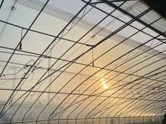 -青岛锅贴(四流中路店)