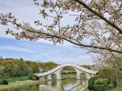 -上海海湾国家森林公园