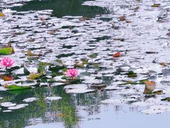 -白马涧龙池景区
