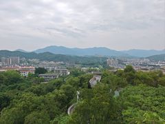 -福道