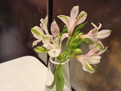 -胡大饭馆 24h(簋街总店)