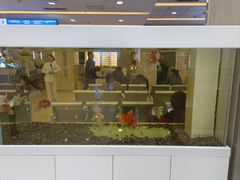 -武汉大学附属爱尔眼科医院(湖北总院)