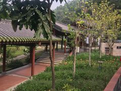 -广州神农草堂中医药博物馆