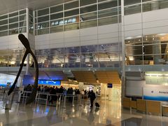 -达拉斯 沃斯堡国际机场