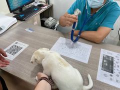 -荔康动物医院(康王北路店)