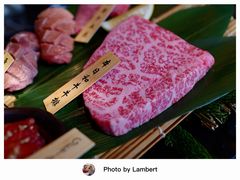 -老乾杯(深圳湾万象城店)