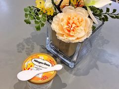 芝士麻糬冰淇淋-哈根达斯(皇庭店)
