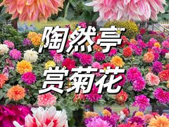 -陶然亭公园