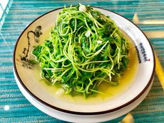 清炒灵芝菜-自游人·美食一楼·地道徽菜(三十年名店)