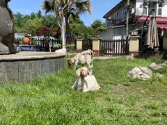 -洪湖家庭农场·团建·露营·会议