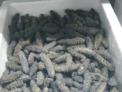 -宫品海参专卖店(静安大宁店)