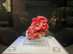 -湖南省地质博物馆