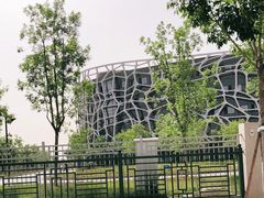 -首都医科大学附属北京天坛医院