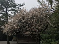 -热田神宫