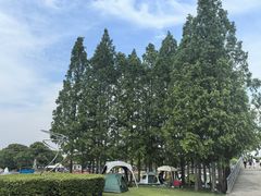-上海月湖雕塑公园