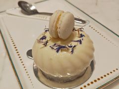 -PAUL LAFAYET 法式甜品(港汇广场店)
