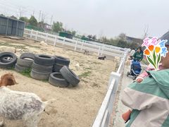 -菊园百果园