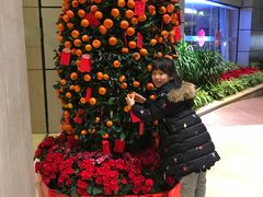 -广州粤海喜来登酒店