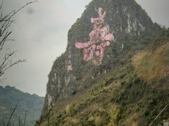 -长寿村
