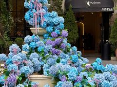 -DearCake 黛点心(花牌坊店)
